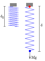 cm_muelle1.gif (2409 bytes)