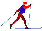 ski.gif