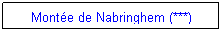 Zone de Texte: Monte de Nabringhem (***)
