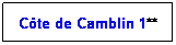 Zone de Texte: Cte de Camblin 1**
