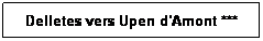 Zone de Texte: Delletes vers Upen d'Amont ***
