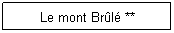 Zone de Texte: Le mont Brl **
