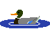 canard.gif