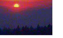 image001.gif